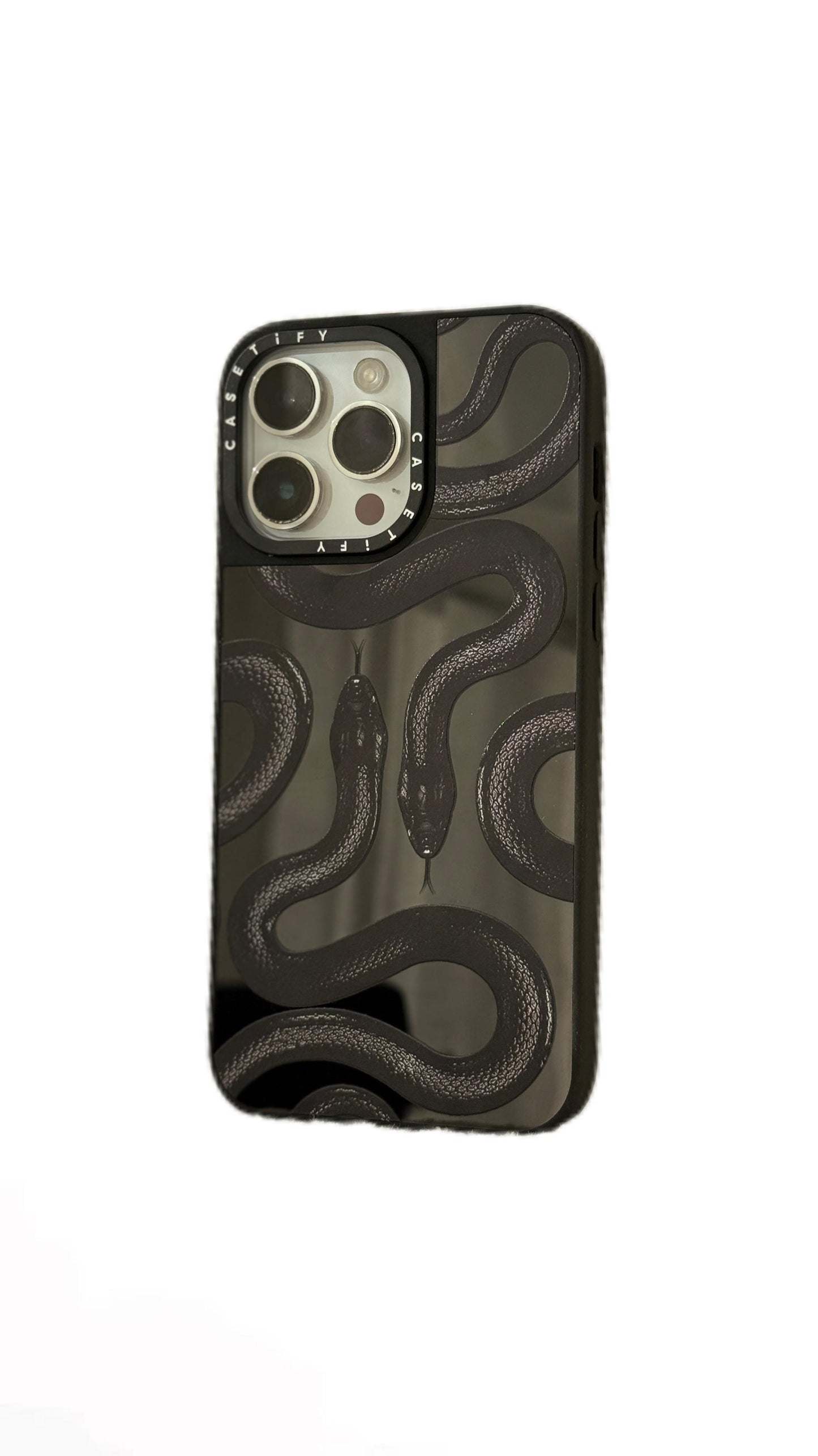 Snake Mirror Case
