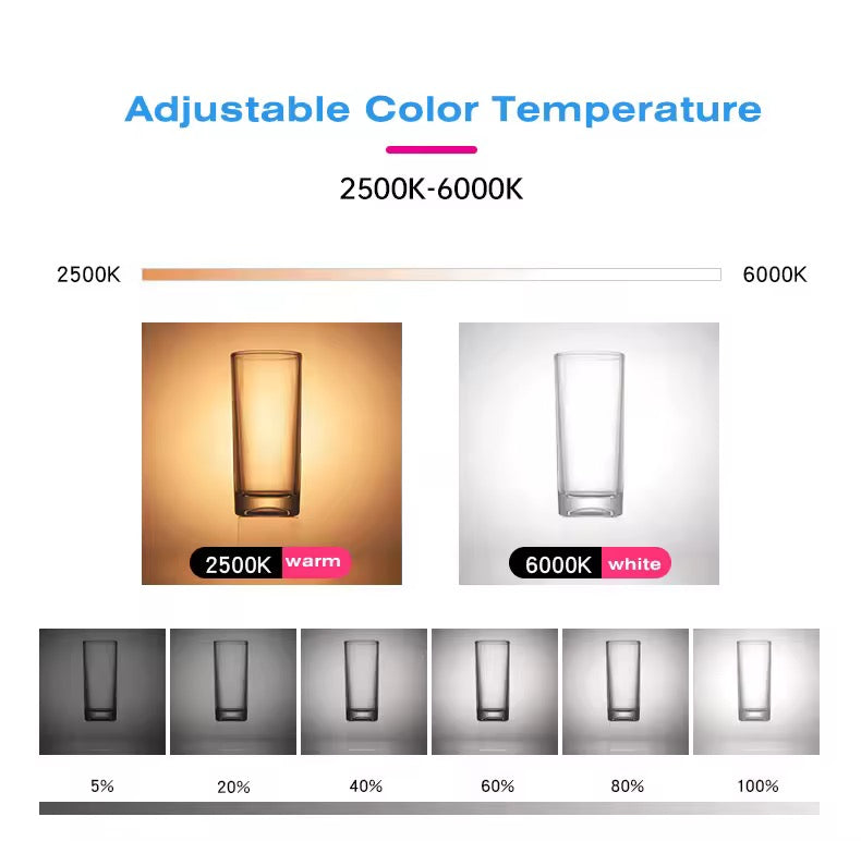 Mini LED Light 🔦